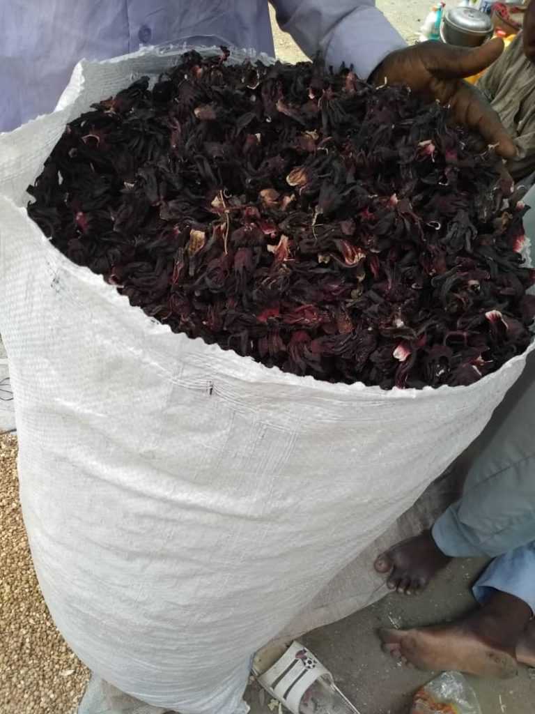Dried Hibiscus Flowers Supplier GreenLord Resources