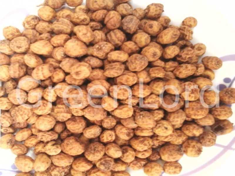 where to buy tiger nuts